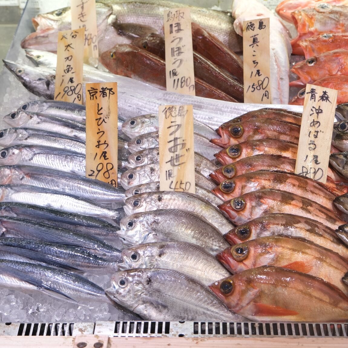【堺北花田】今日のおすすめは『真あじ』｜鮮魚売場から