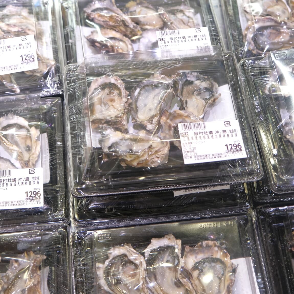 【堺北花田】今日のおすすめは『真あじ』｜鮮魚売場から