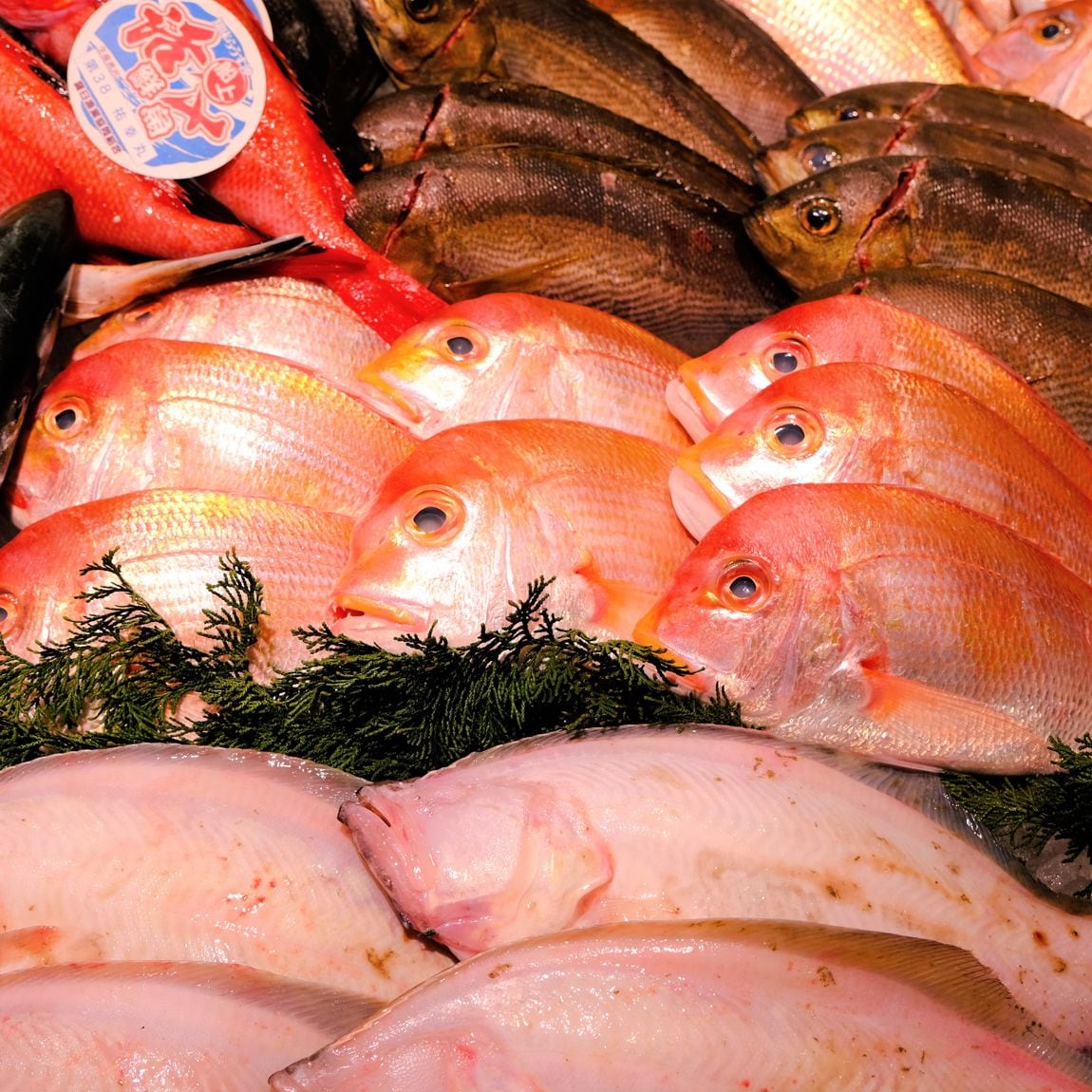 【堺北花田】土曜は魚の日｜鮮魚売場から