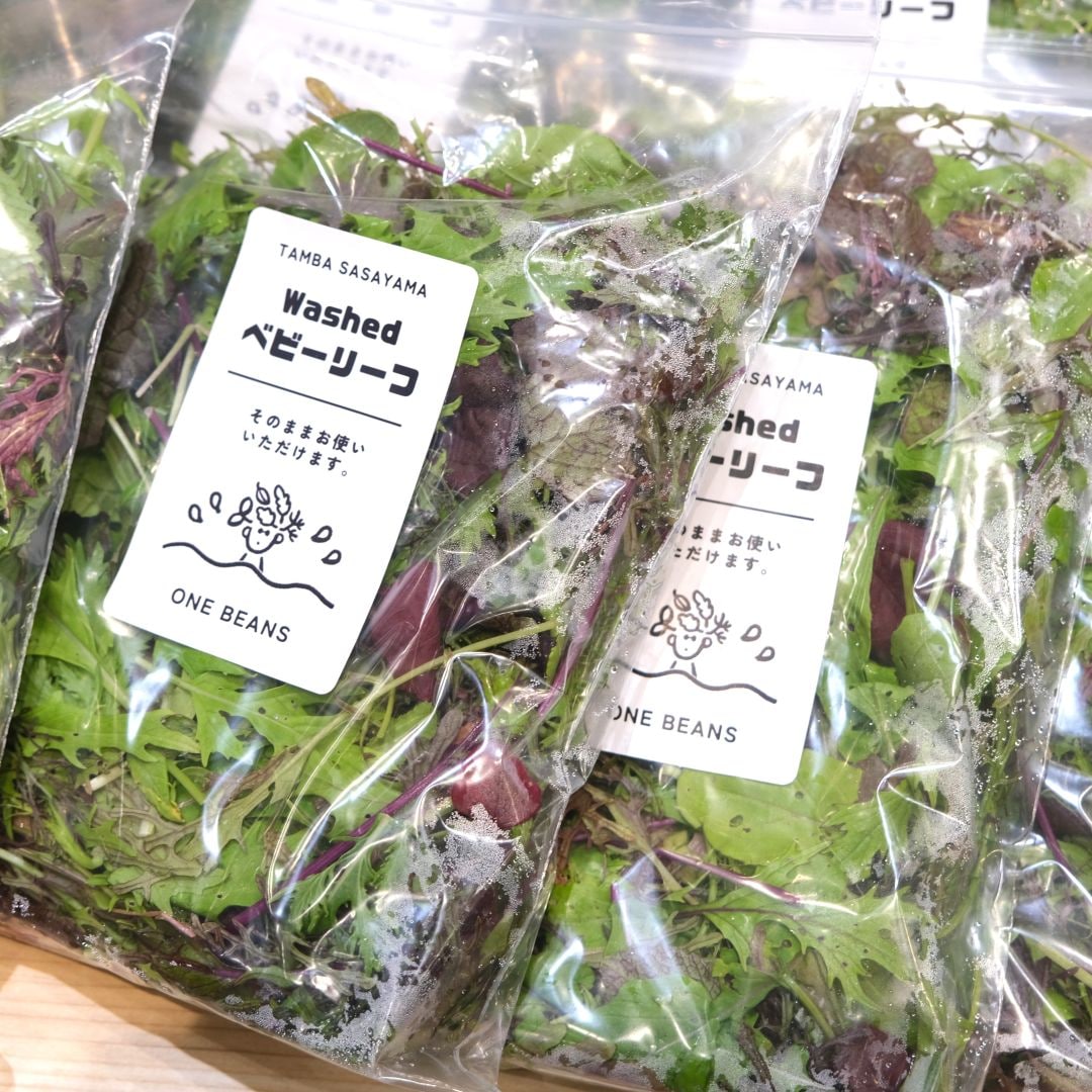 【堺北花田】ONE BEANSさんのベビーリーフが入荷しました｜青果売場から