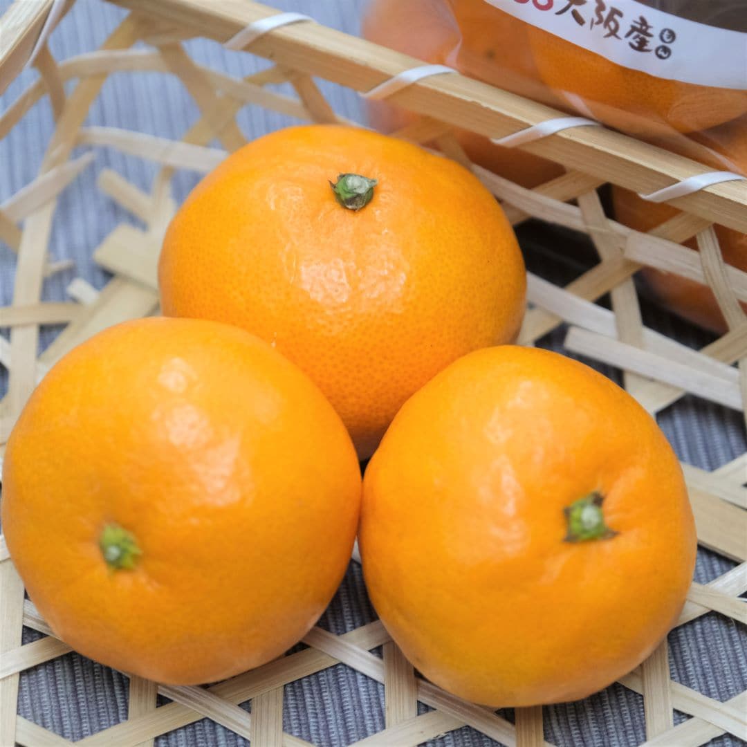 【堺北花田】納家さんのみかんが入荷しました｜青果売場から
