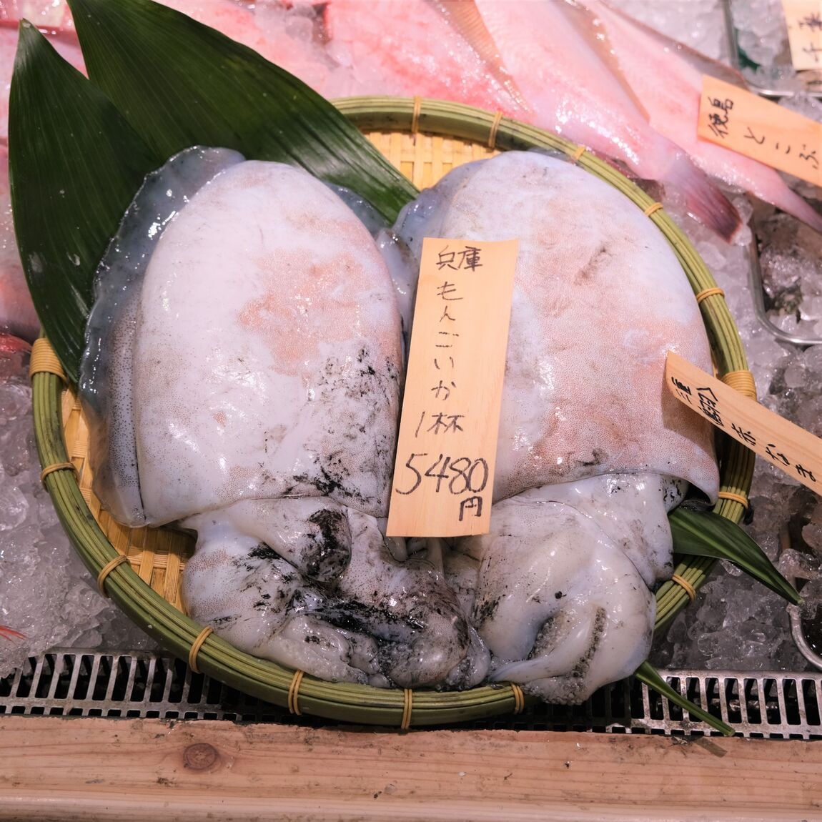 【堺北花田】今日のおすすめは『かます』｜鮮魚売場から