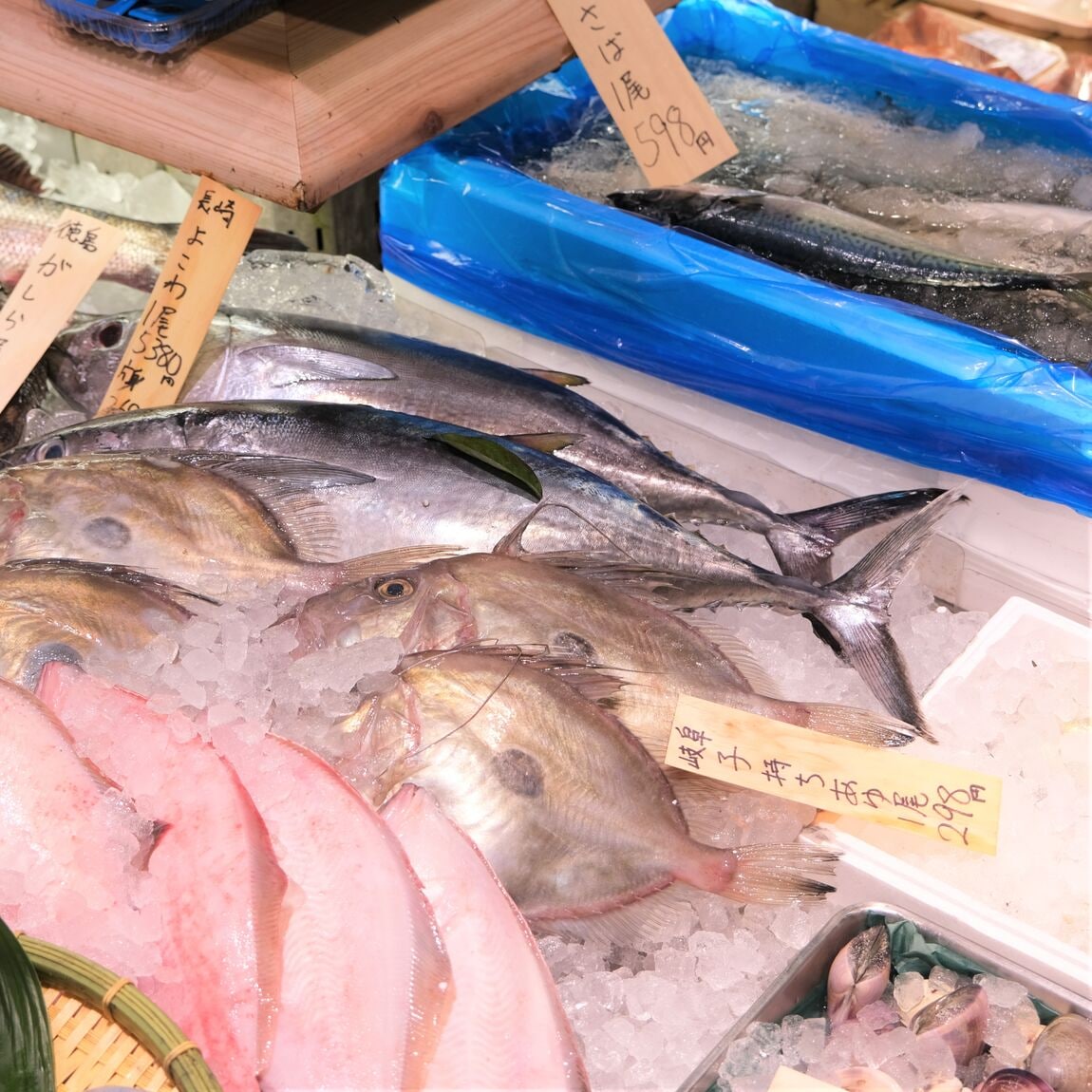 【堺北花田】今日のおすすめは『かます』｜鮮魚売場から