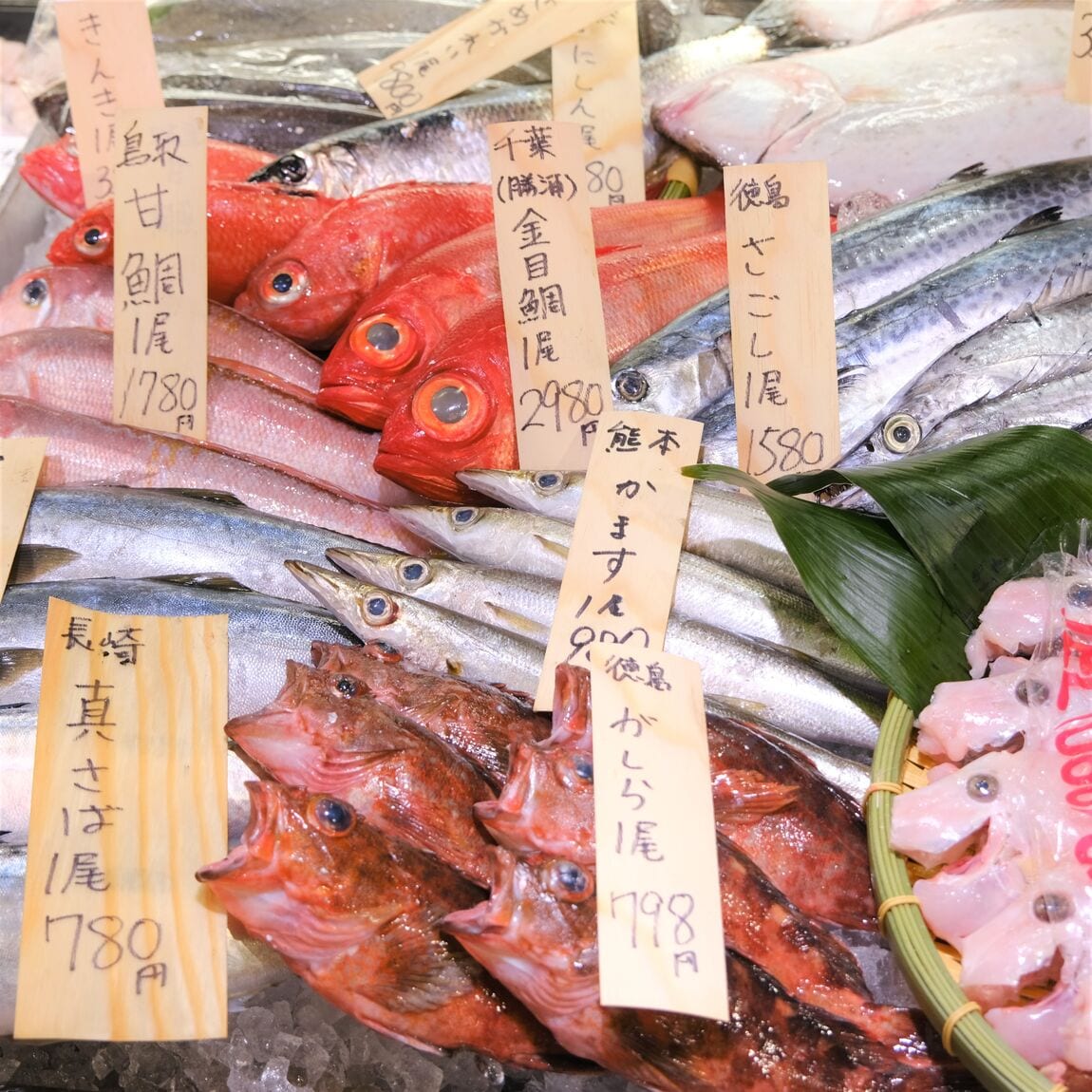 【堺北花田】今日のおすすめは『さざえ』｜鮮魚売場から