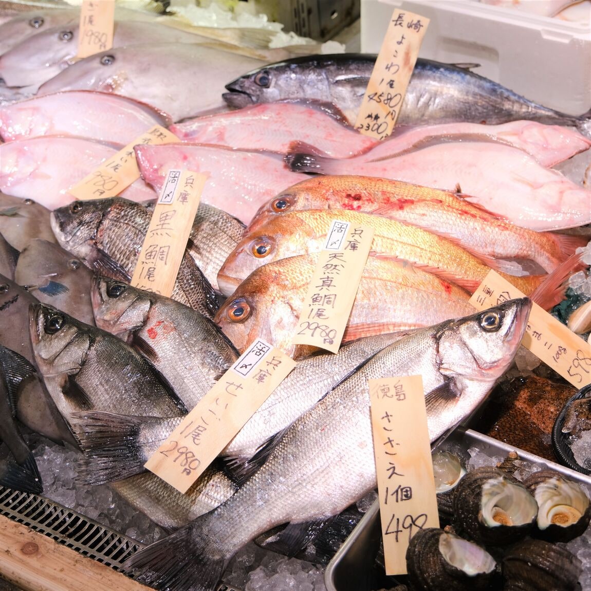 【堺北花田】今日のおすすめは『さざえ』｜鮮魚売場から