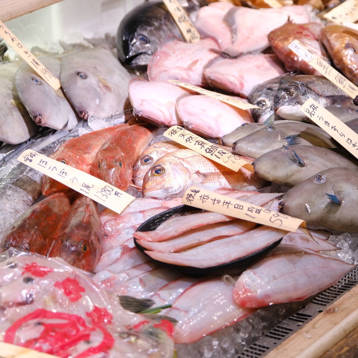 【堺北花田】今日のおすすめは『さざえ』｜鮮魚売場から