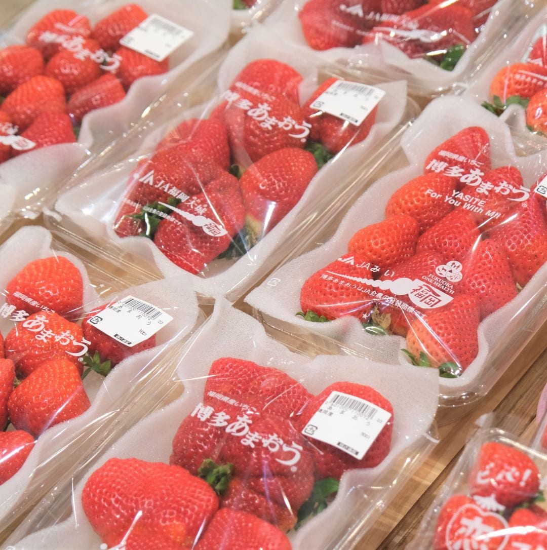 【堺北花田】林田商店さんの市場まつり開催中｜青果売場から