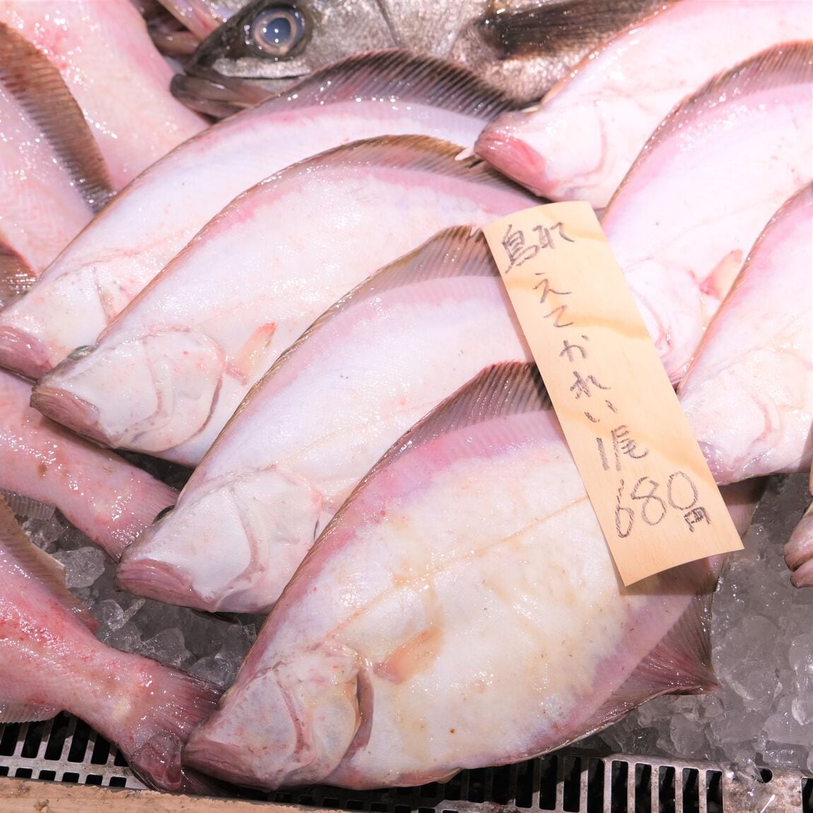 【堺北花田】今日のおすすめは『赤かれい』『えてかれい』｜鮮魚売場から