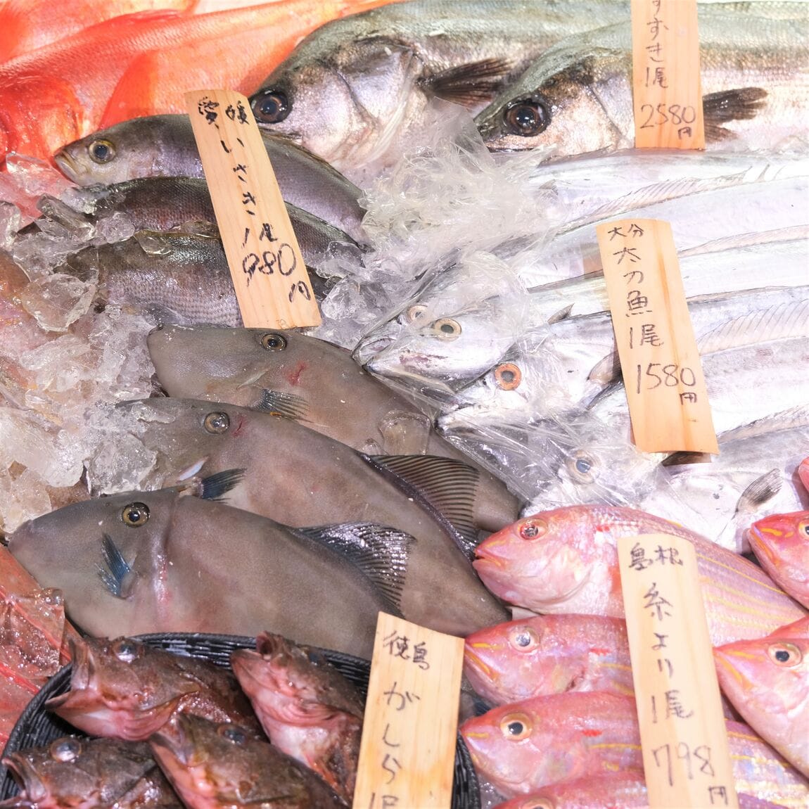 【堺北花田】今日のおすすめは『赤かれい』『えてかれい』｜鮮魚売場から