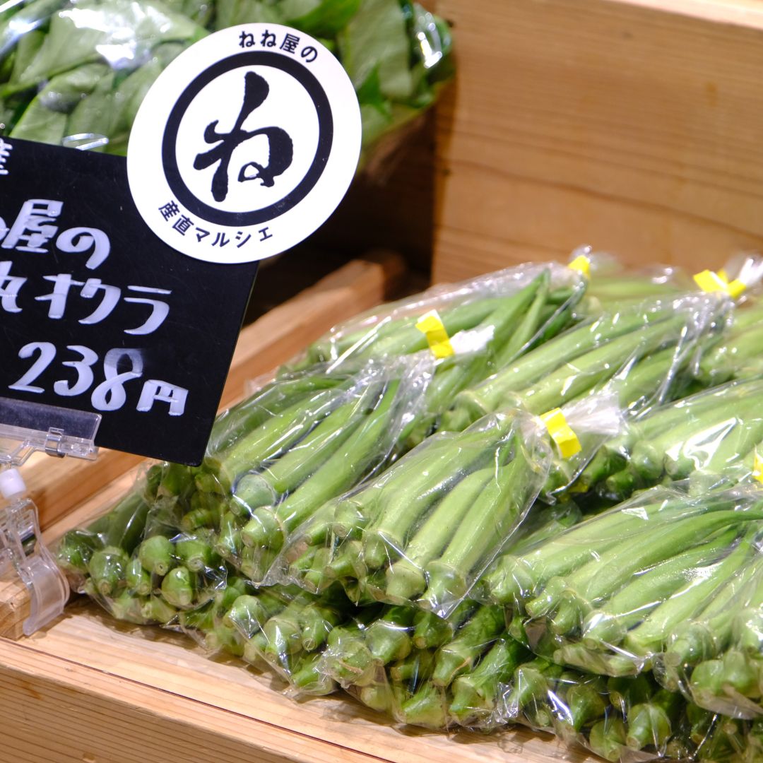 【堺北花田】ねね屋の産直マルシェ開催中｜青果売場から_cQcIC1