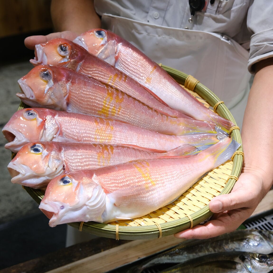 【堺北花田】今日のおすすめは甘鯛｜鮮魚売場から