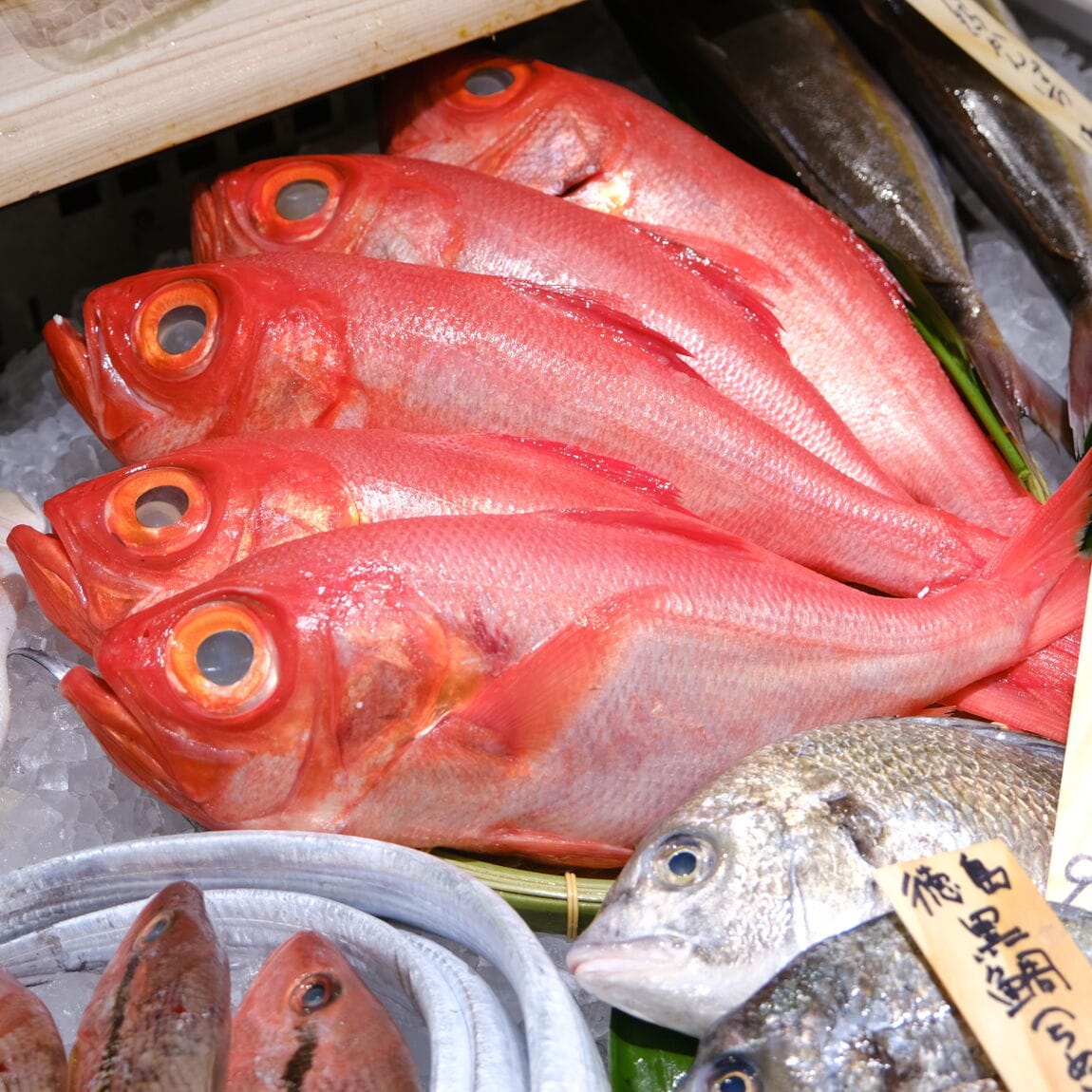【堺北花田】今日のおすすめは甘鯛｜鮮魚売場から