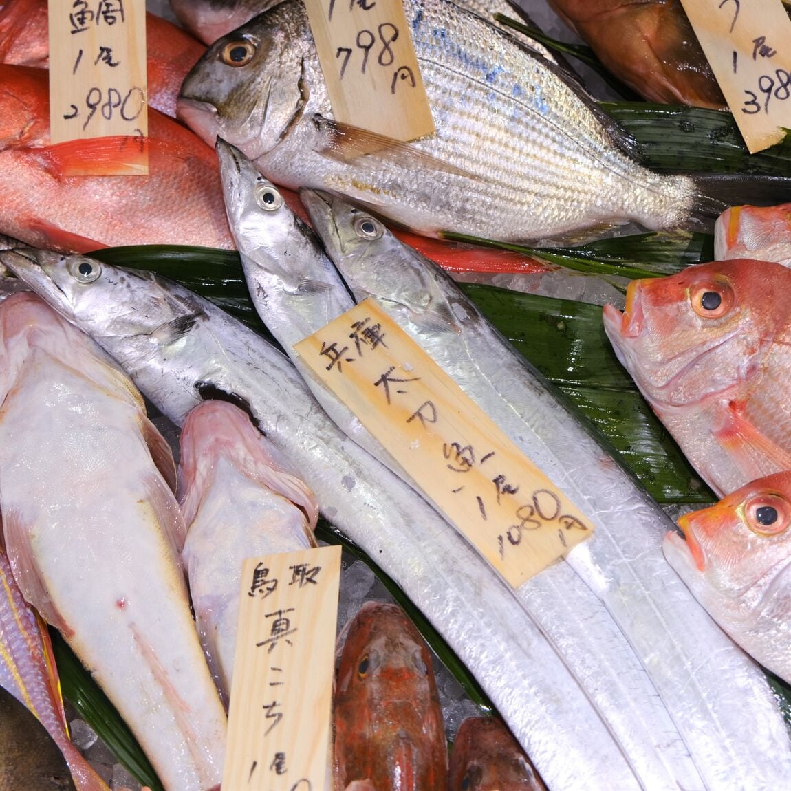 【堺北花田】今日のおすすめ『あゆ』｜鮮魚売場から