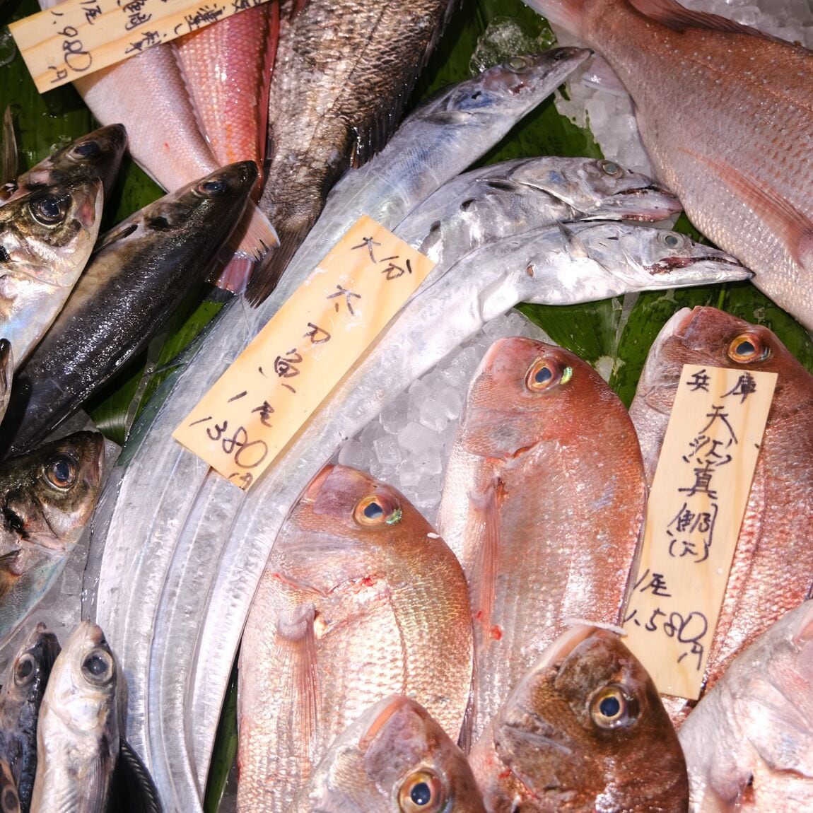 【堺北花田】今日のおすすめ『あゆ』｜鮮魚売場から