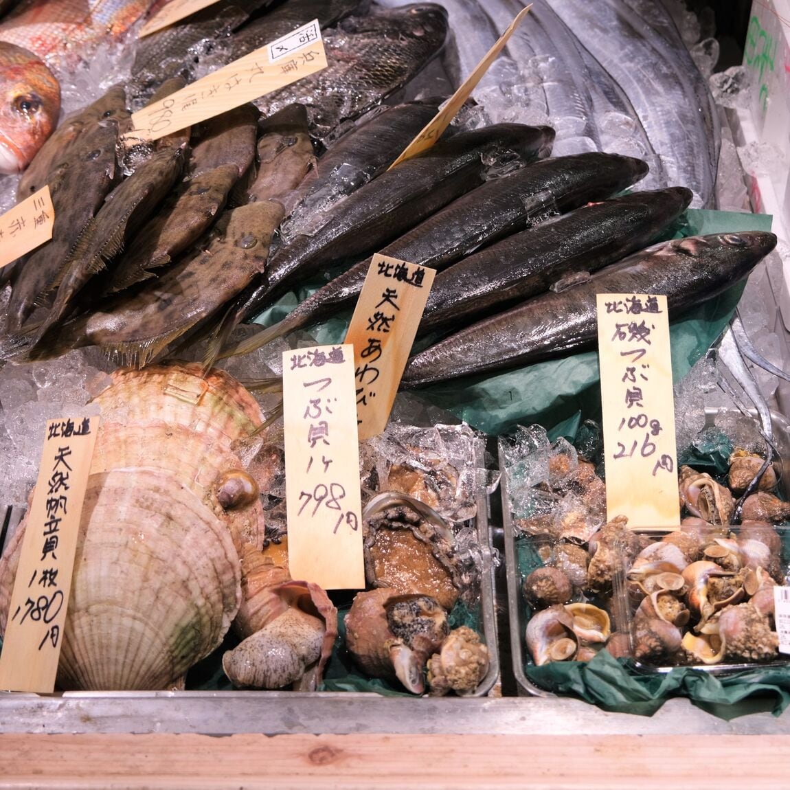 【堺北花田】今日のおすすめは『まなかつお』｜鮮魚売場から