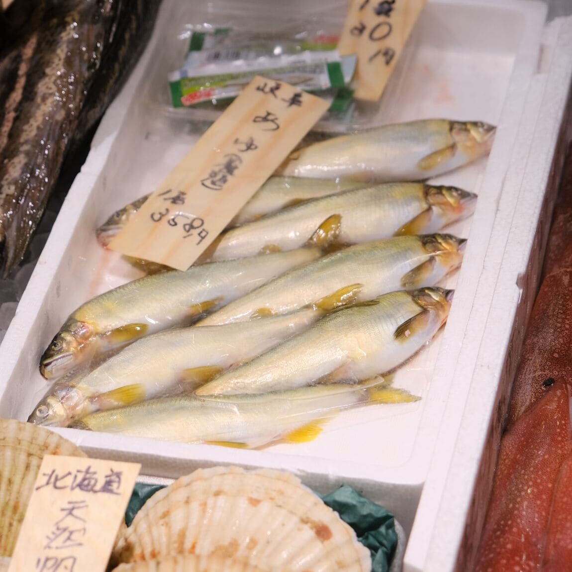 【堺北花田】今日のおすすめ『あゆ』｜鮮魚売場から