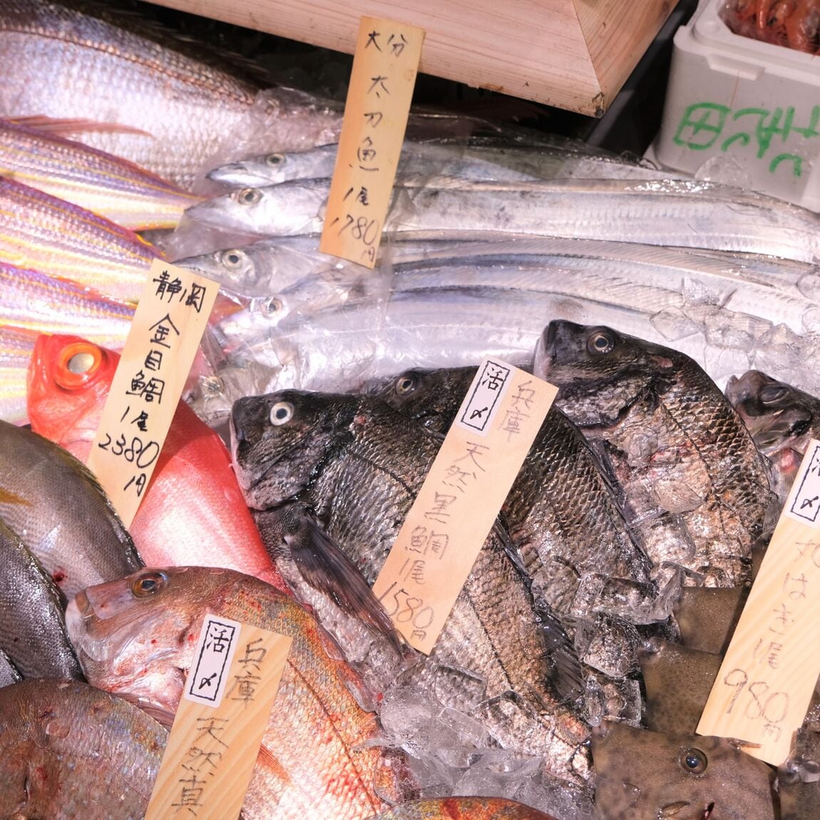 【堺北花田】今日のおすすめは『まなかつお』｜鮮魚売場から