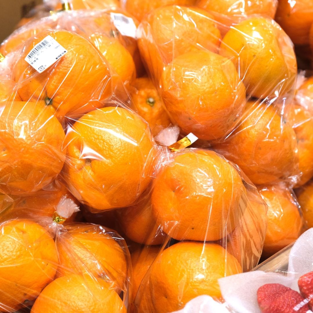 【堺北花田】林田商店さんの市場まつり開催中｜青果売場から