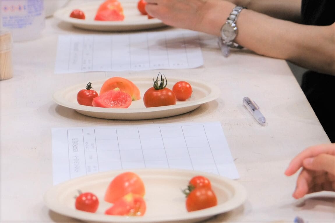 【堺北花田】夏野菜のトマトを食べくらべ｜イベントレポート