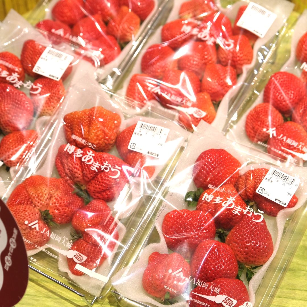 【堺北花田】20日、30日はまいどおおきにの日