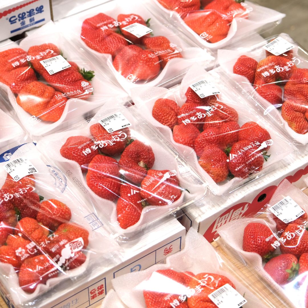 【堺北花田】林田商店さんの市場まつり開催中｜青果売場から