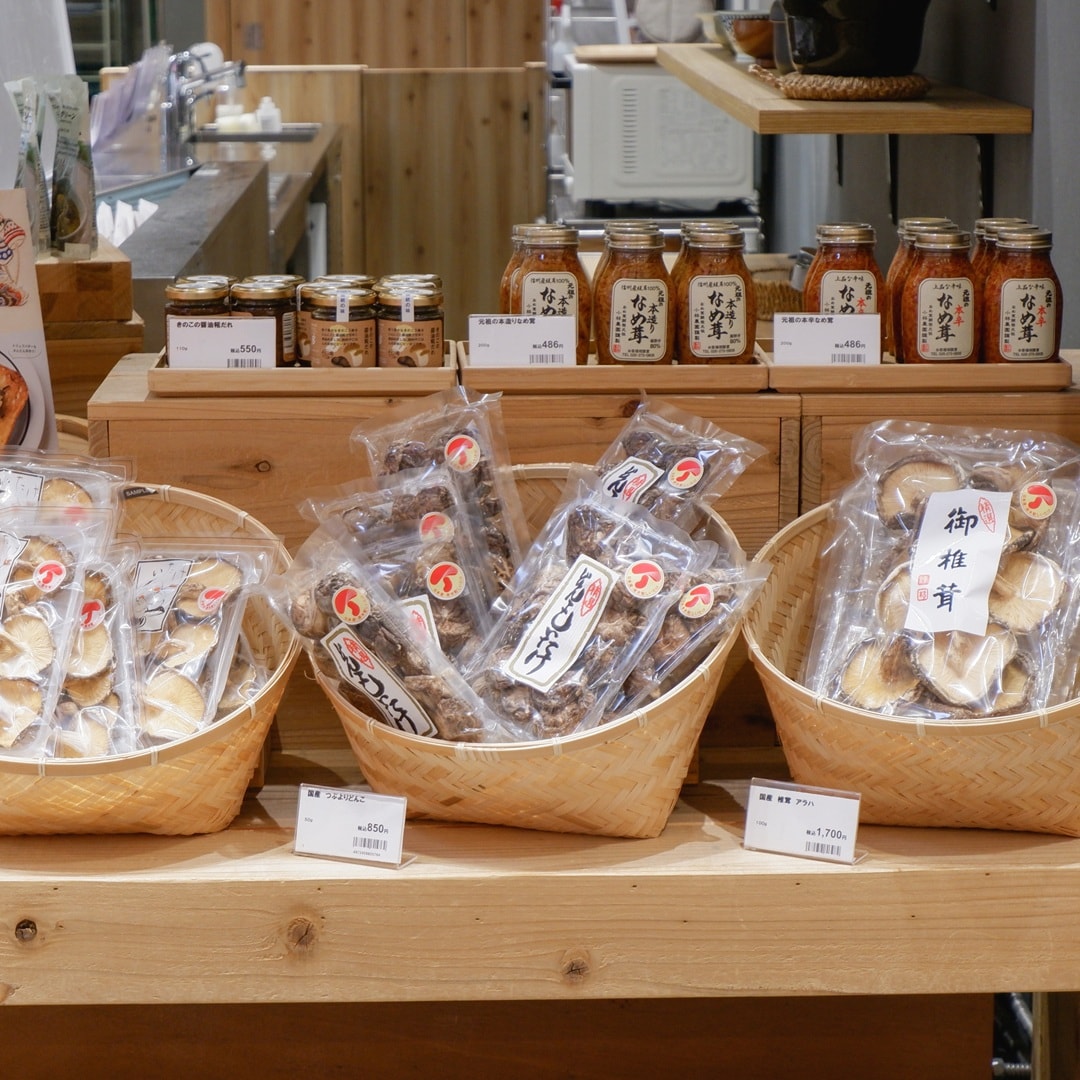 【京都山科】いつもはない、きのこ大集合｜食品売場より_H7XXLI