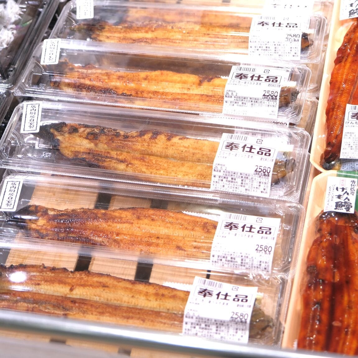 【堺北花田】今日のおすすめはお刺身｜鮮魚売場から_o0LxO2