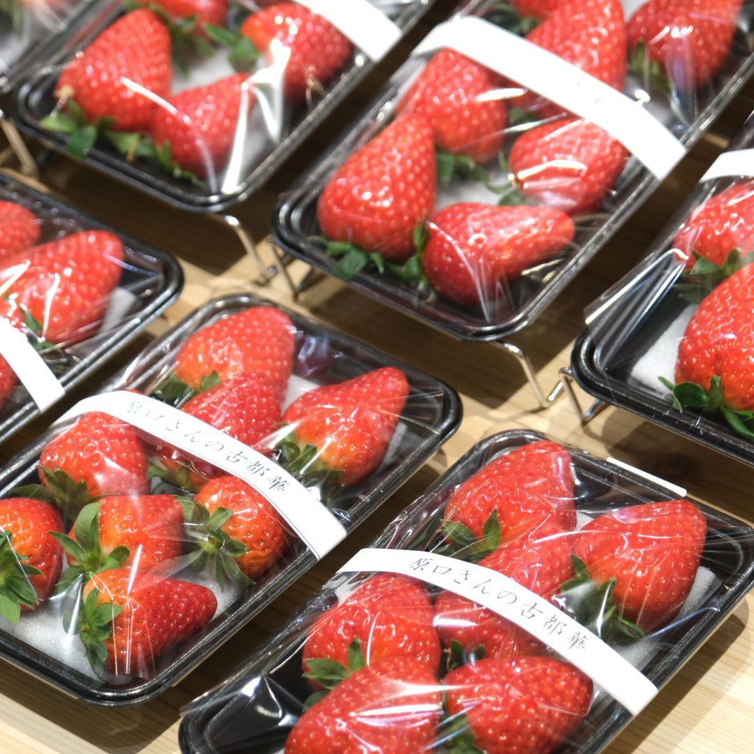 【堺北花田】産直うまいもん市開催中｜青果売場から