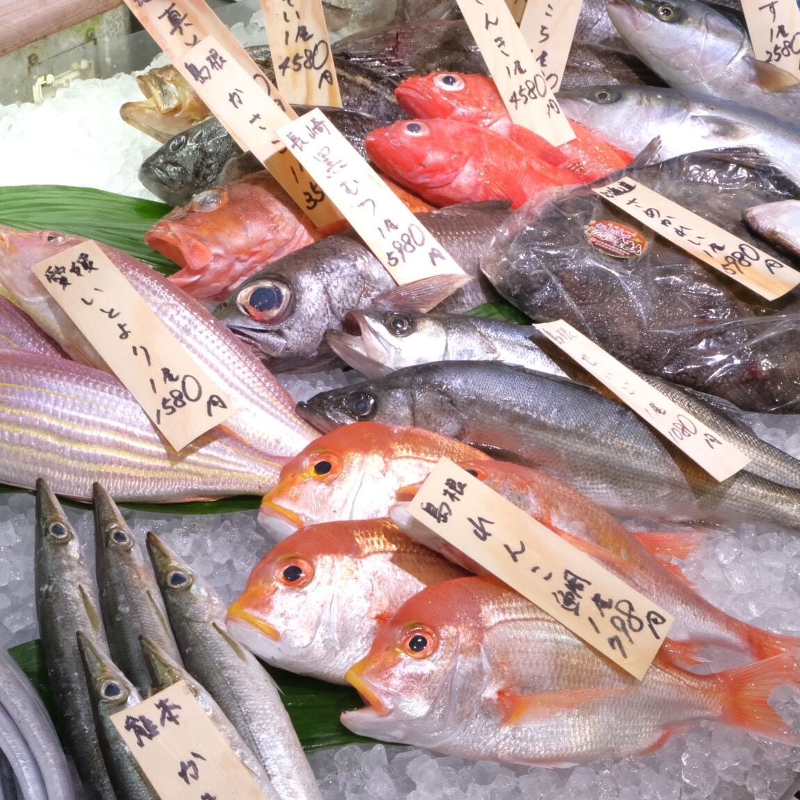 【堺北花田】今日のおすすめは『やりいか』｜鮮魚売場から可能