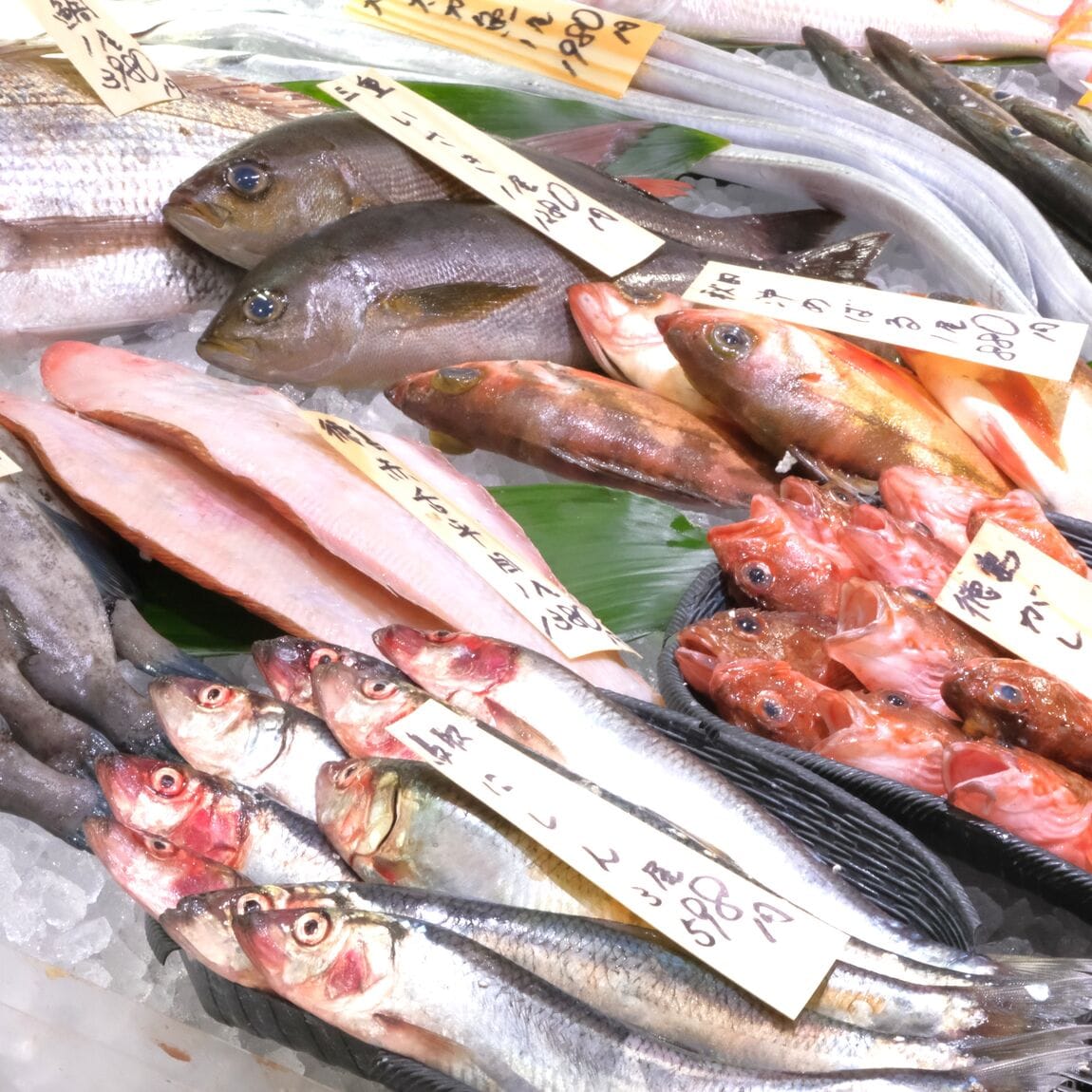 【堺北花田】今日のおすすめは『やりいか』｜鮮魚売場から可能