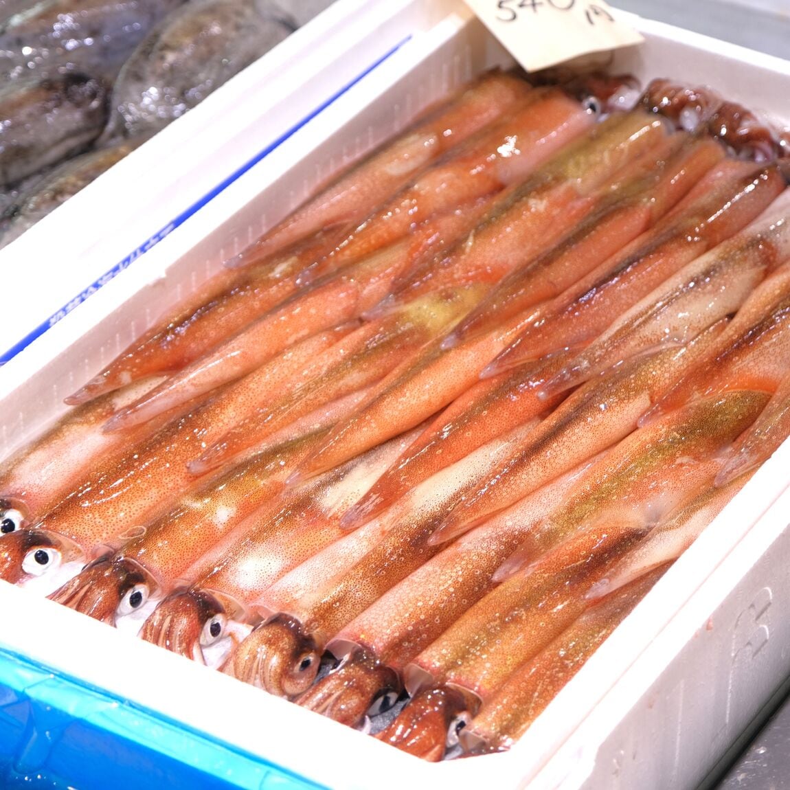 【堺北花田】今日のおすすめは『やりいか』｜鮮魚売場から可能