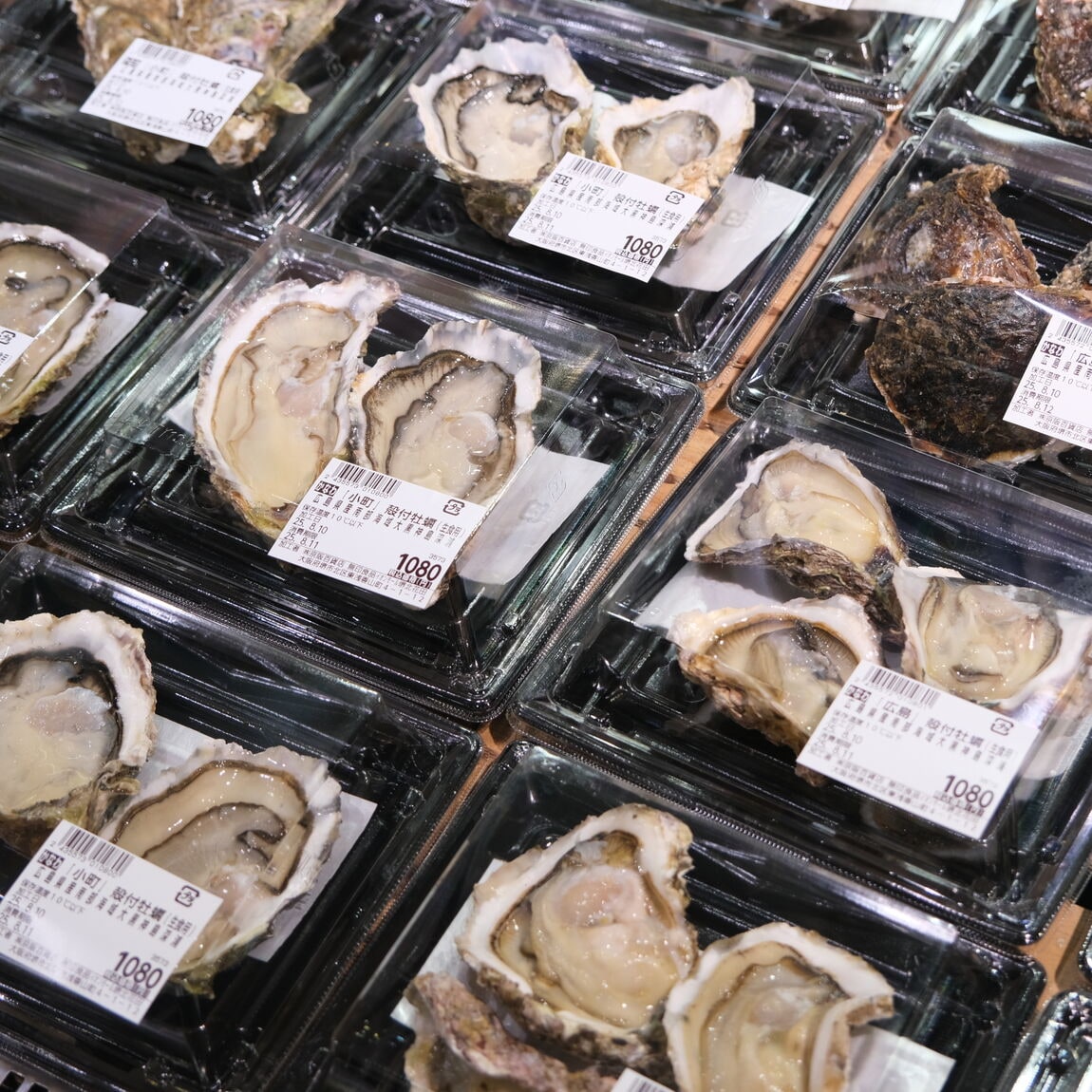 【堺北花田】お寿司に牡蠣、ごちそうを楽しもう｜鮮魚売場から