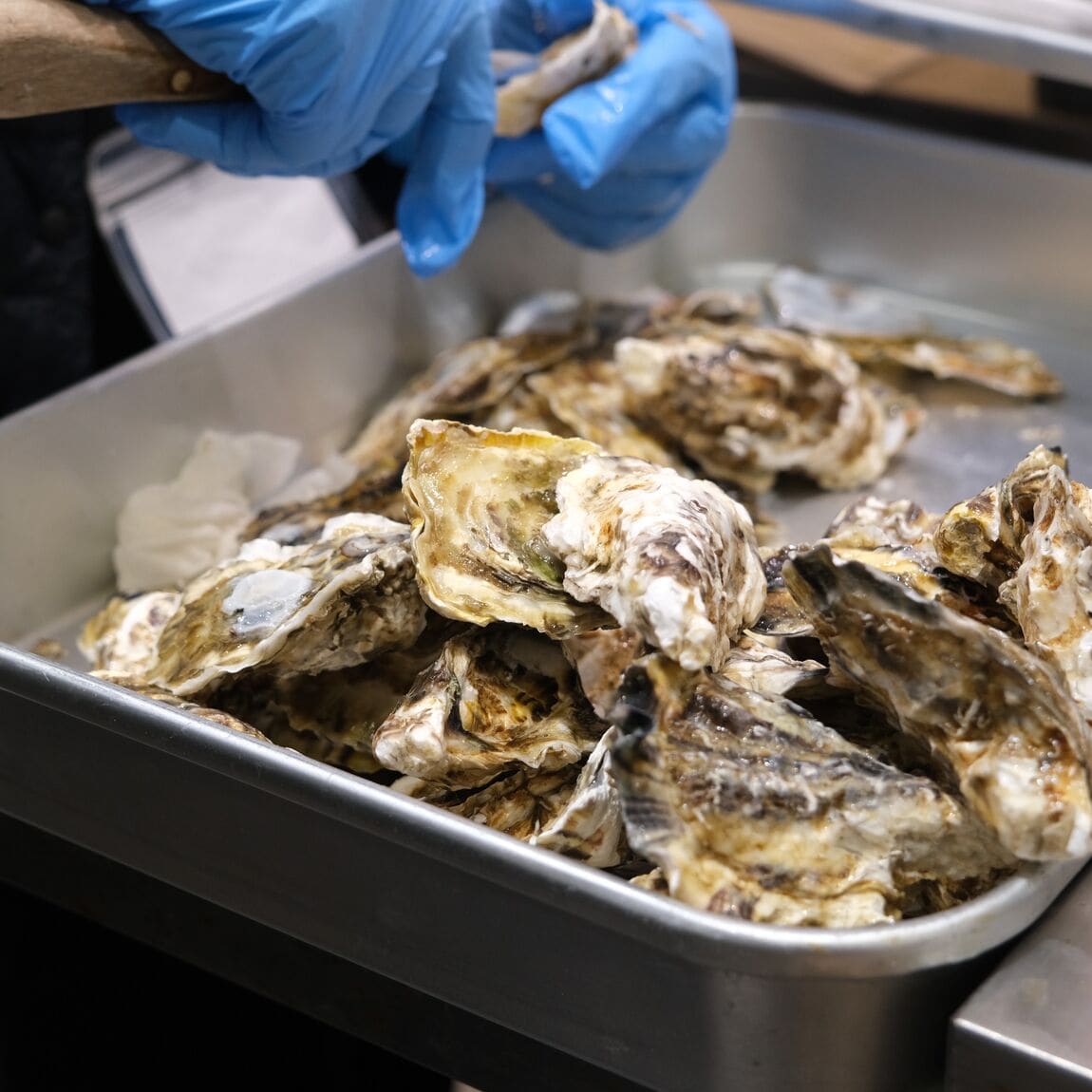 【堺北花田】かなわの『殻付牡蠣 先端』販売中です｜鮮魚売場から