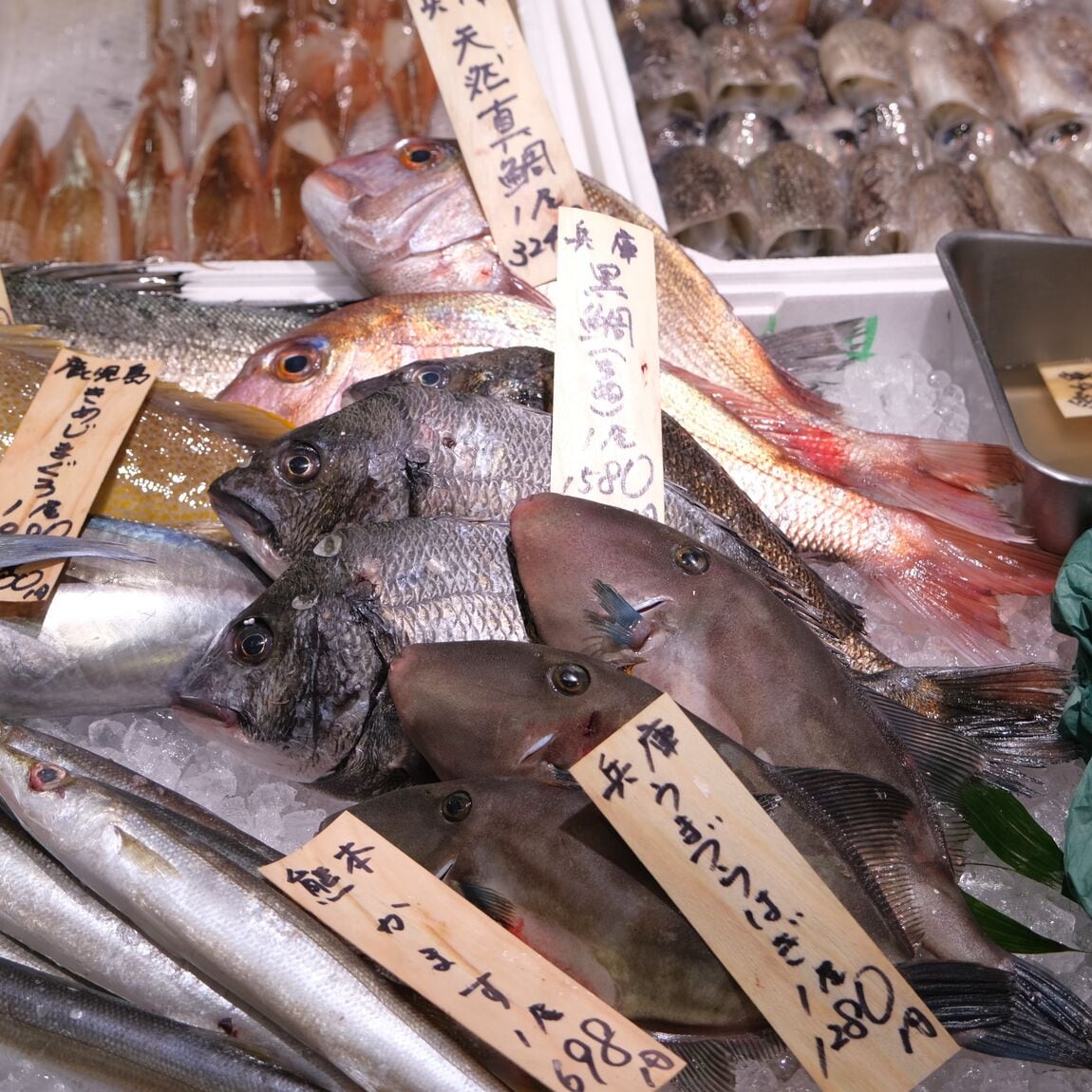 【堺北花田】かなわの『殻付牡蠣 先端』販売中です｜鮮魚売場から