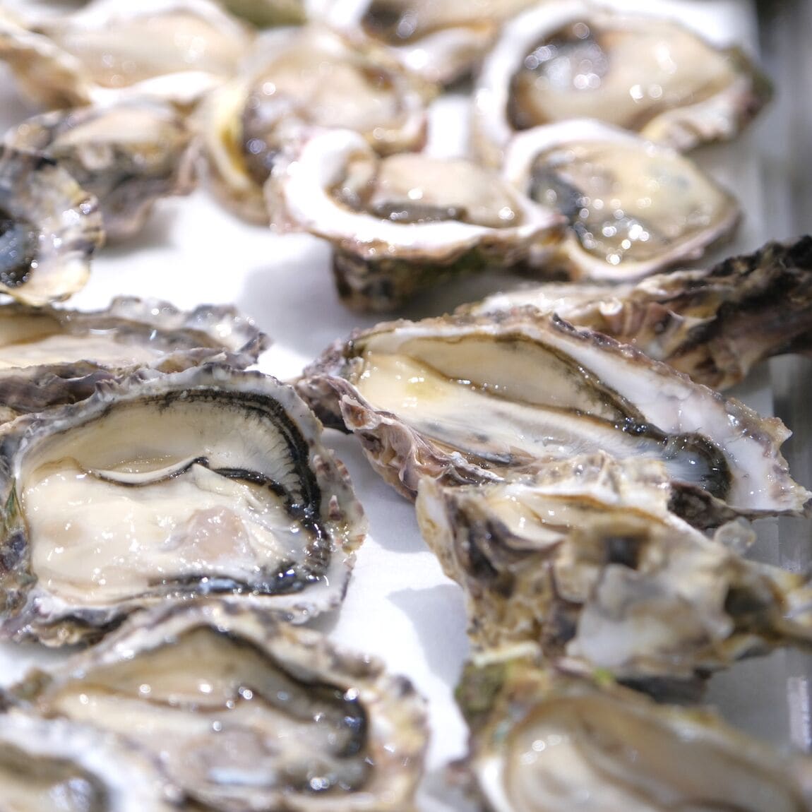 【堺北花田】お寿司やお刺身をごちそうに｜鮮魚売場から_aLkw4r