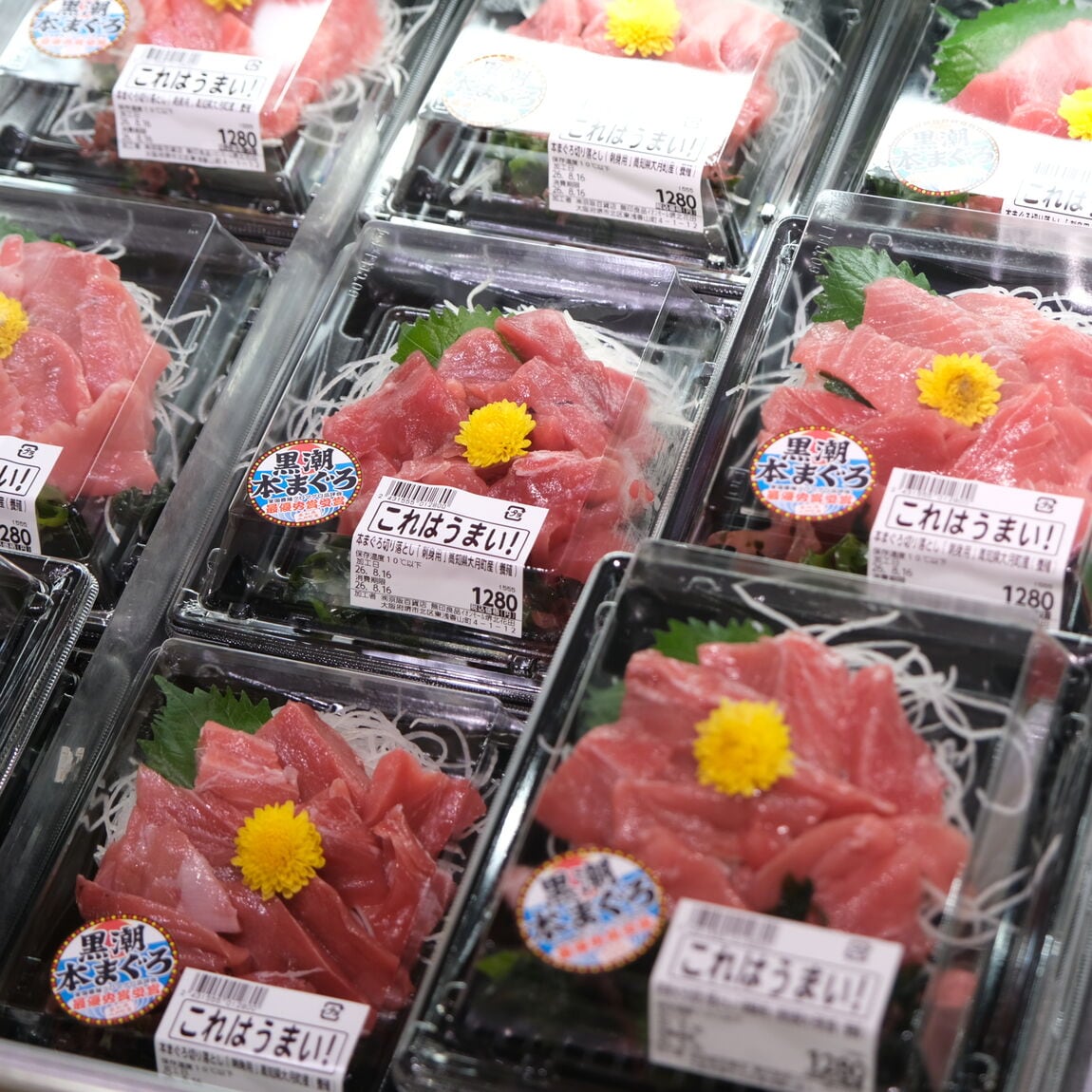 【堺北花田】お寿司やお刺身をごちそうに｜鮮魚売場から_8YLrqg