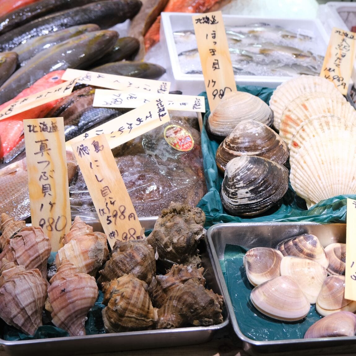 【堺北花田】今日のおすすめは島根県産のお魚｜鮮魚売場から