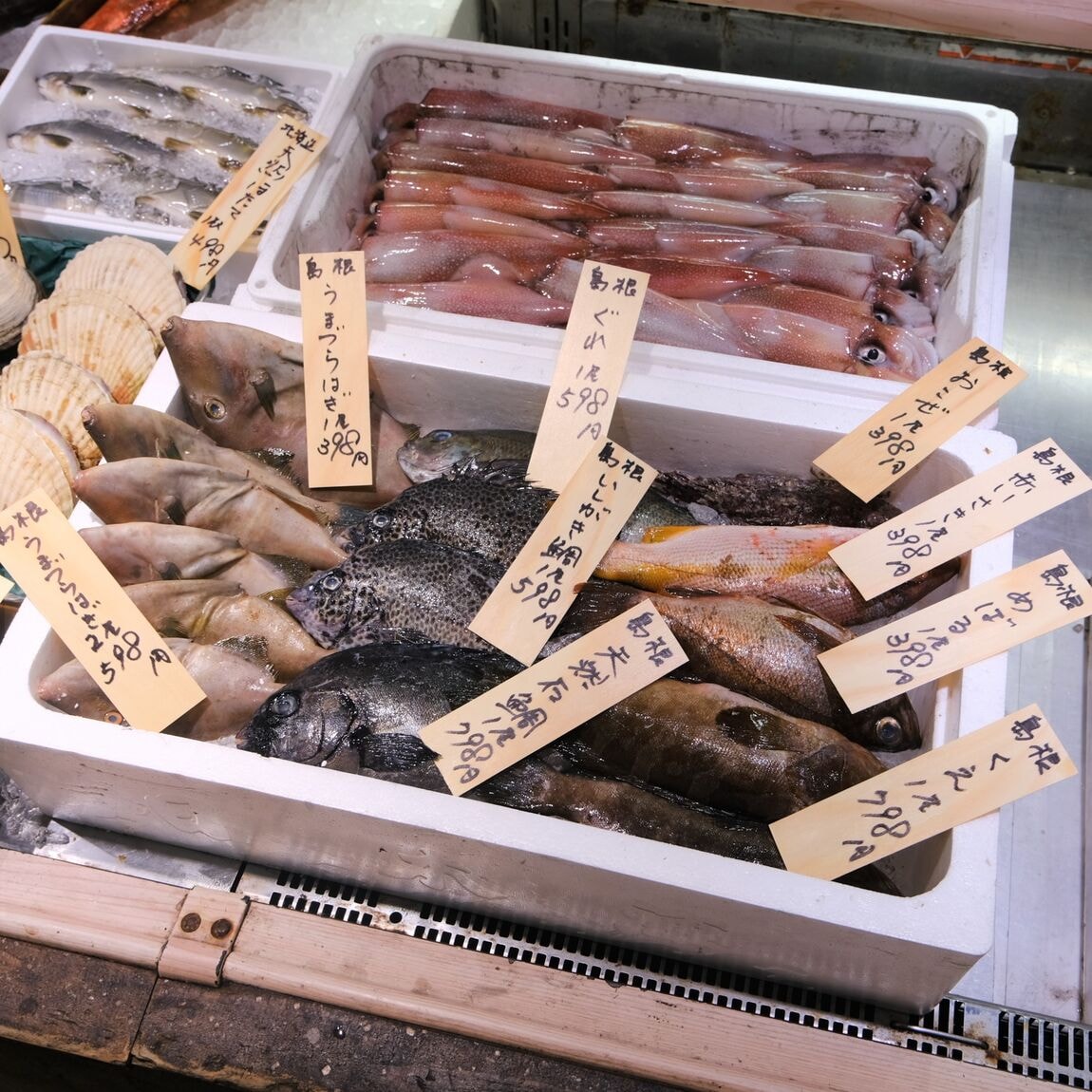 【堺北花田】今日のおすすめは島根県産のお魚｜鮮魚売場から