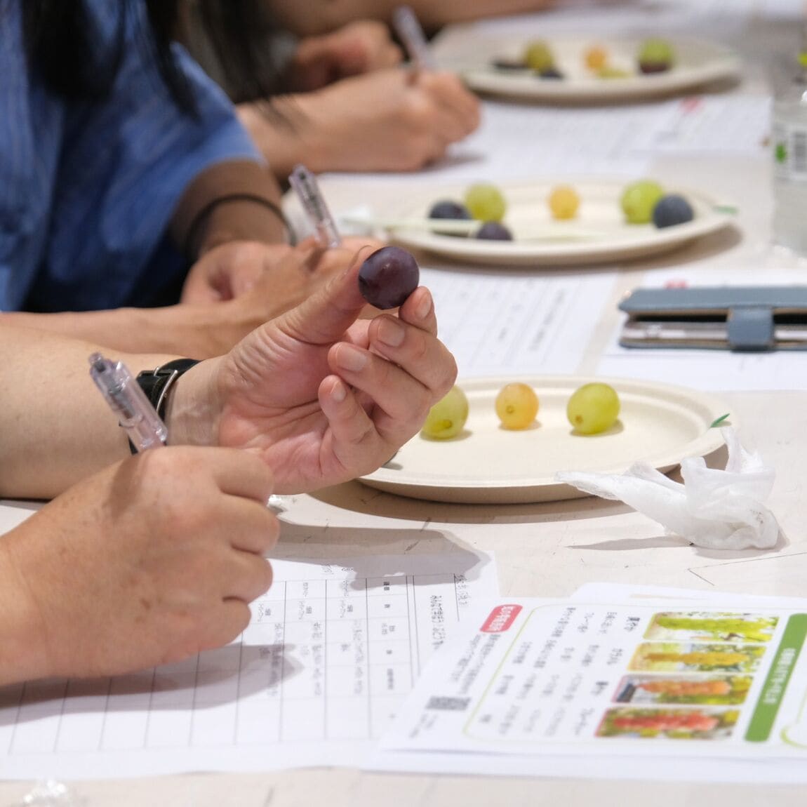【堺北花田】ぶどうを見て、香って、味わいました｜イベントレポート​_cdc4mg