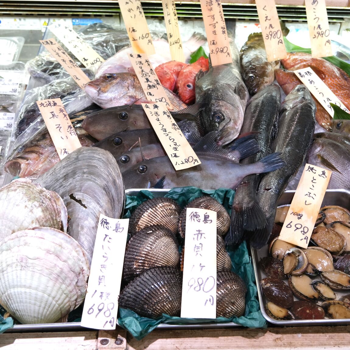 【堺北花田】今日のおすすめは『天然真鯛』｜鮮魚売場から