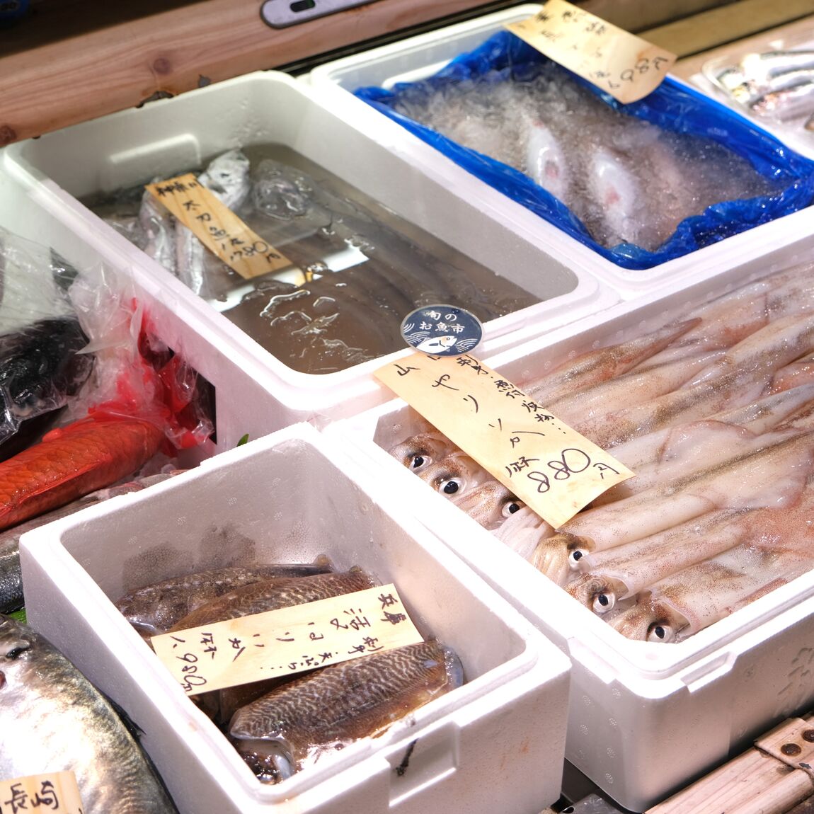 【堺北花田】今日のおすすめは『天然真鯛』｜鮮魚売場から