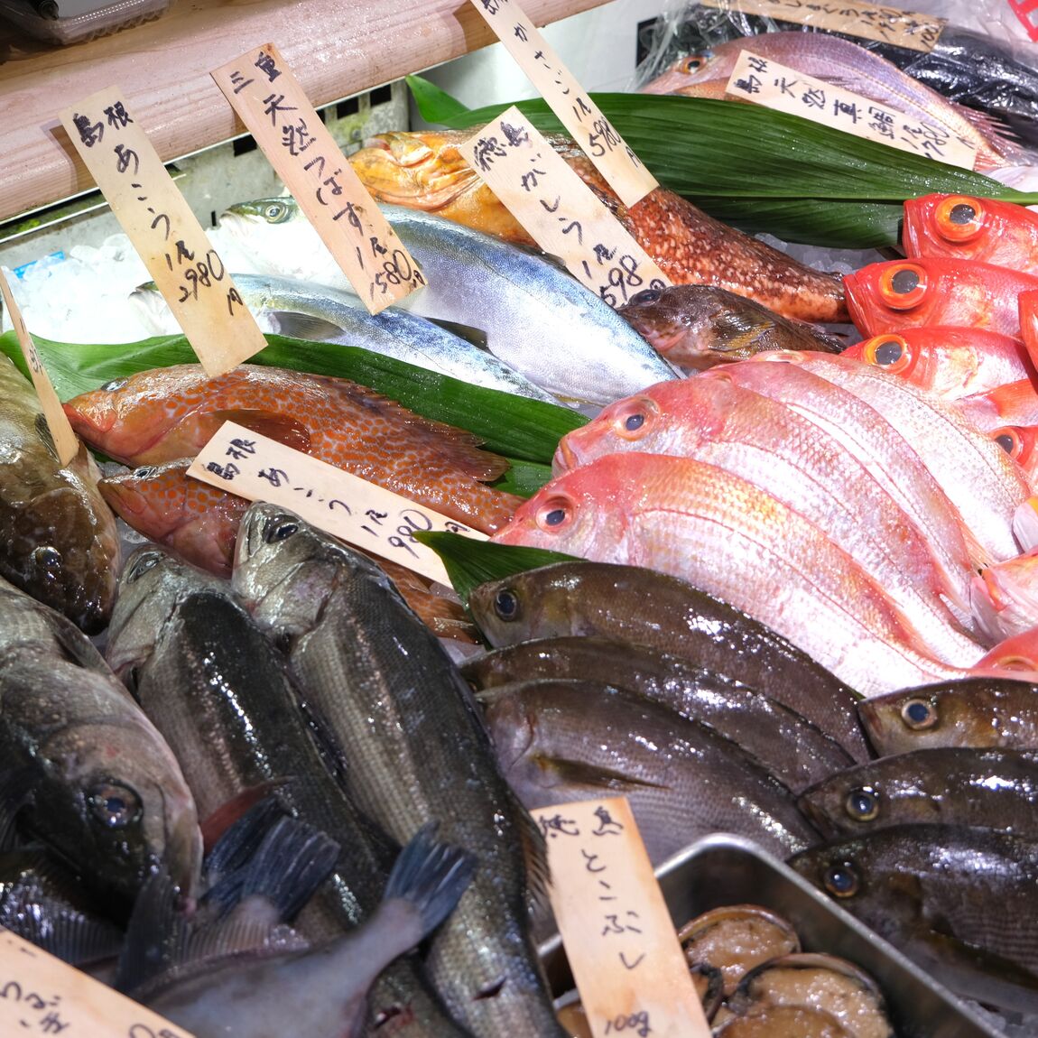 【堺北花田】今日のおすすめは『天然真鯛』｜鮮魚売場から