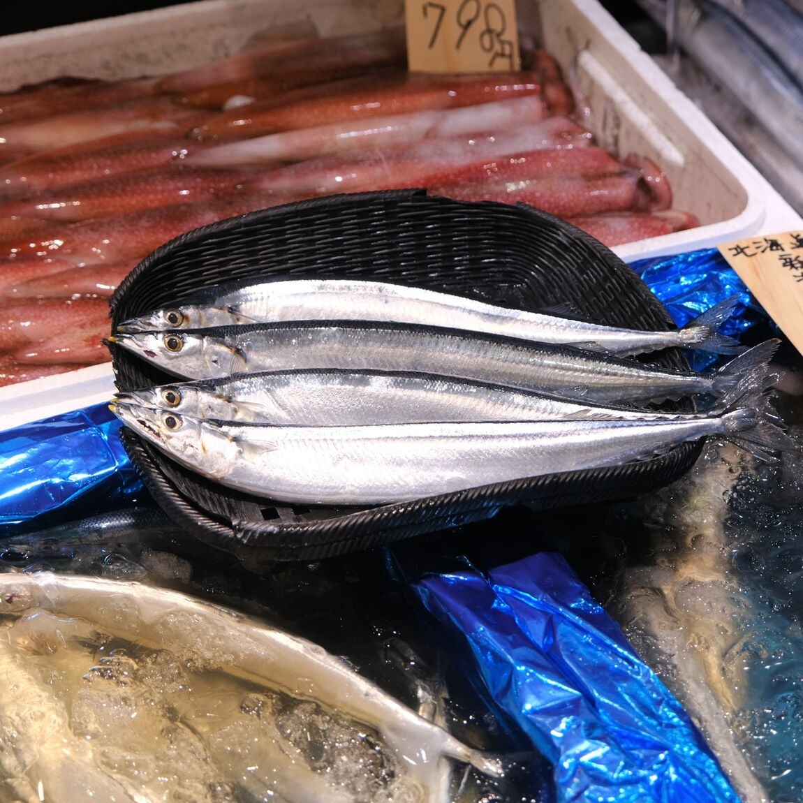 【堺北花田】今日のおすすめは『新物生さんま』｜鮮魚売場から