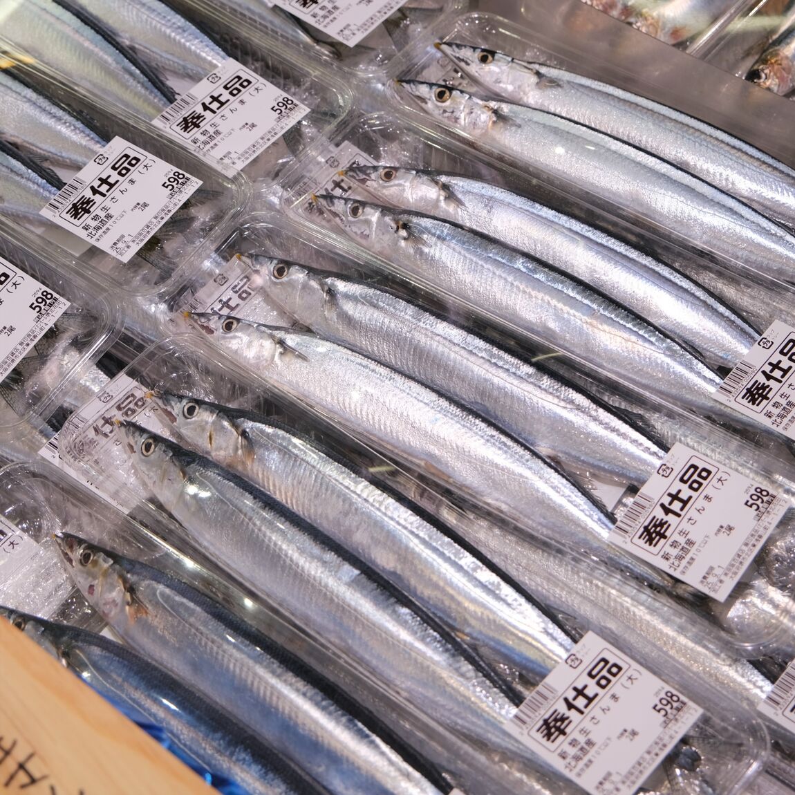 【堺北花田】今日のおすすめは『新物生さんま』｜鮮魚売場から