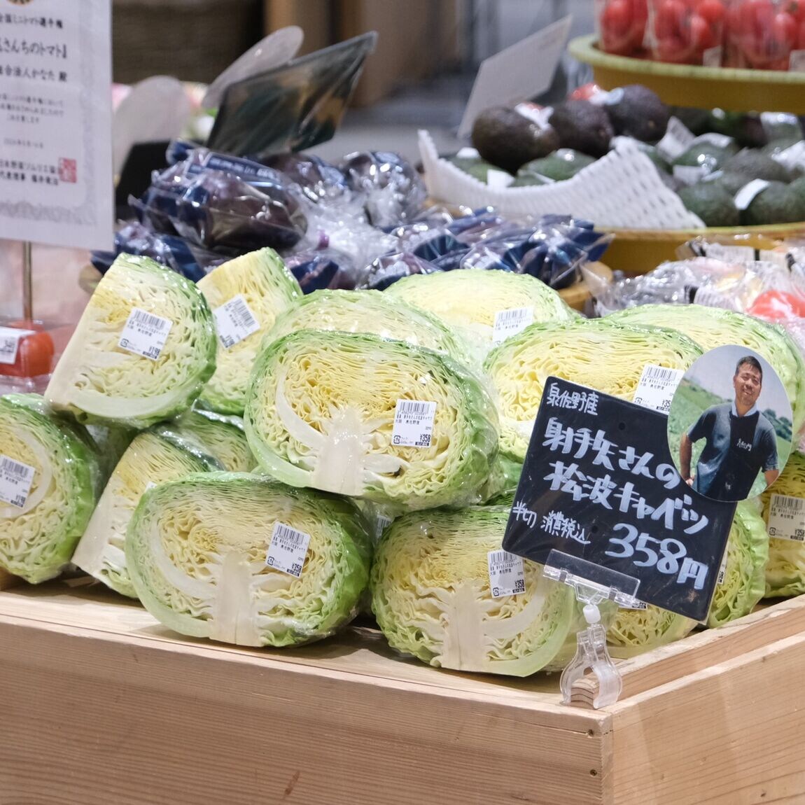 【堺北花田】射手矢さんの松波キャベツ入荷しています｜青果売場から