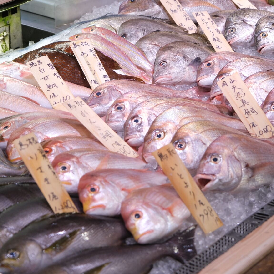 【堺北花田】今日のおすすめは『生さんま』｜鮮魚売場から_7UUlEM