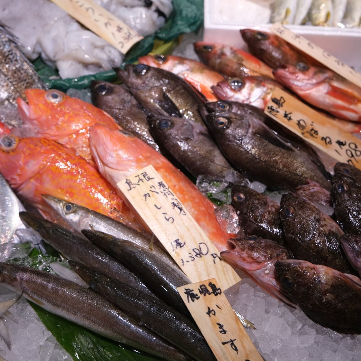 【堺北花田】かなわの殻付牡蠣、販売中です