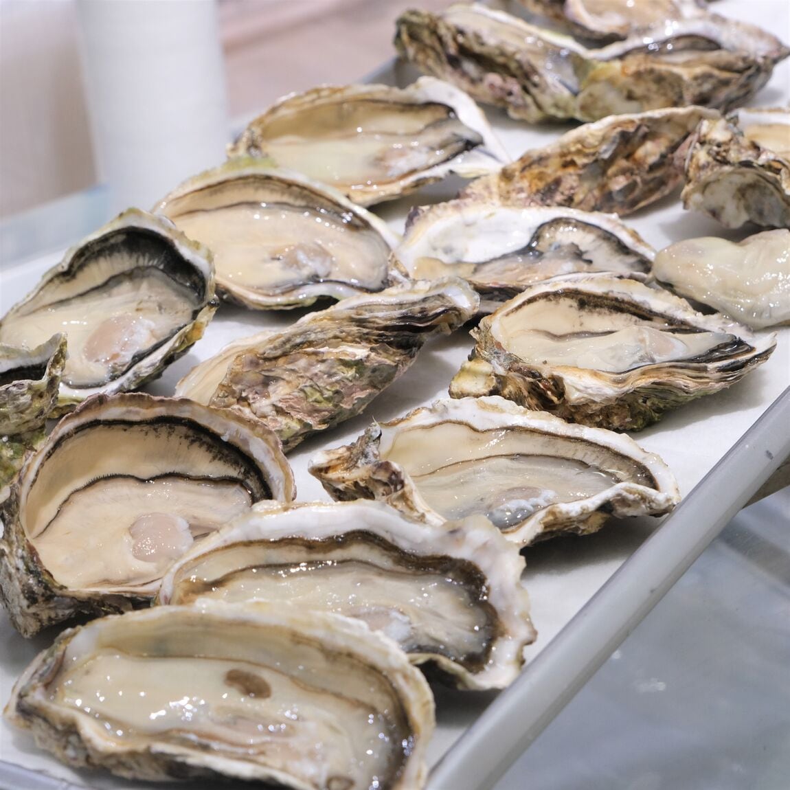 【堺北花田】今日のおすすめ『のどぐろ』｜鮮魚売場から