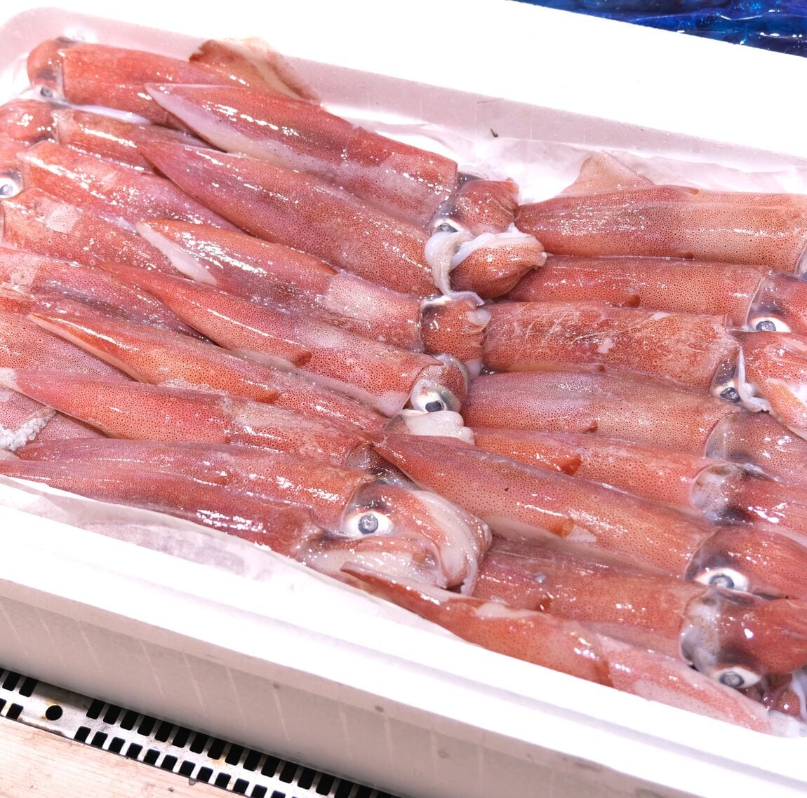 【堺北花田】今日のおすすめは『天然真鯛』｜鮮魚売場から