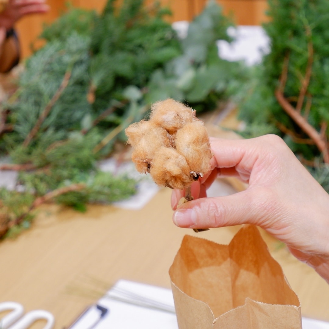 【京都山科】しあわせを願う輪っか｜イベントレポート